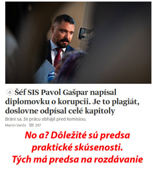Prax diplomovkou nenahradis